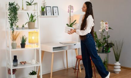 The Vertical Upgrade Your Apartment Is Missing