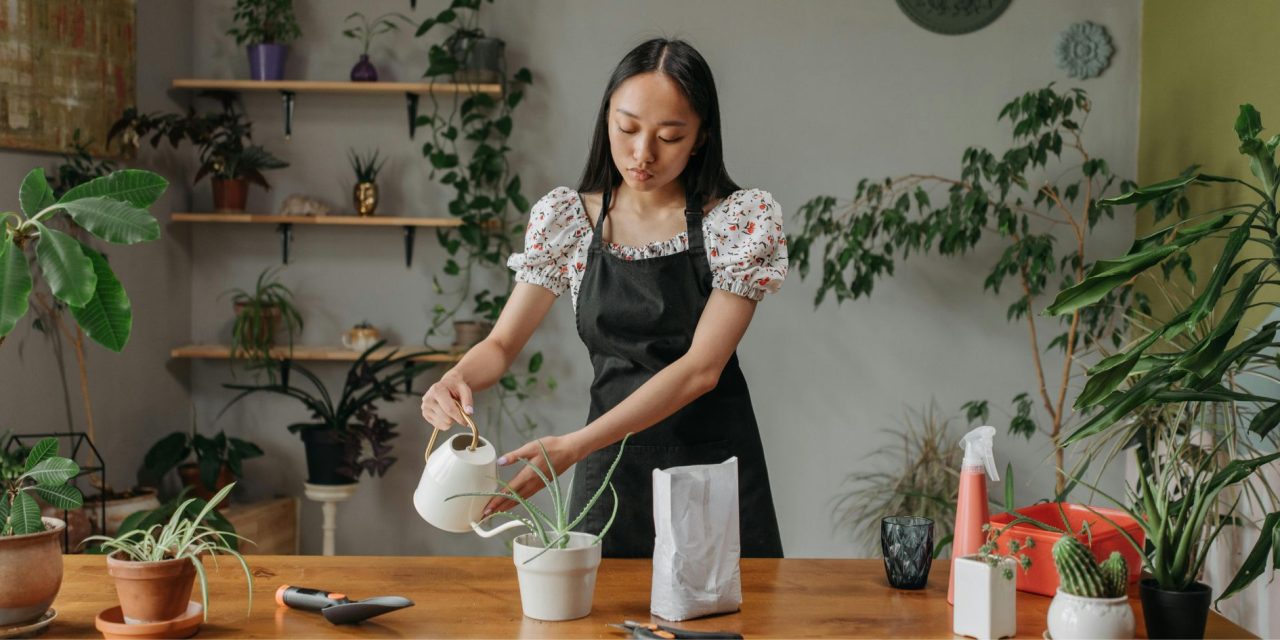 A New Plant Styling Trend Is Refreshing Homes on a Budget