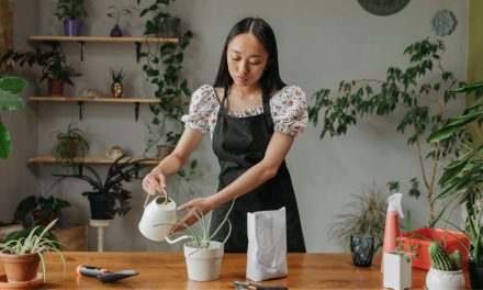 A New Plant Styling Trend Is Refreshing Homes on a Budget